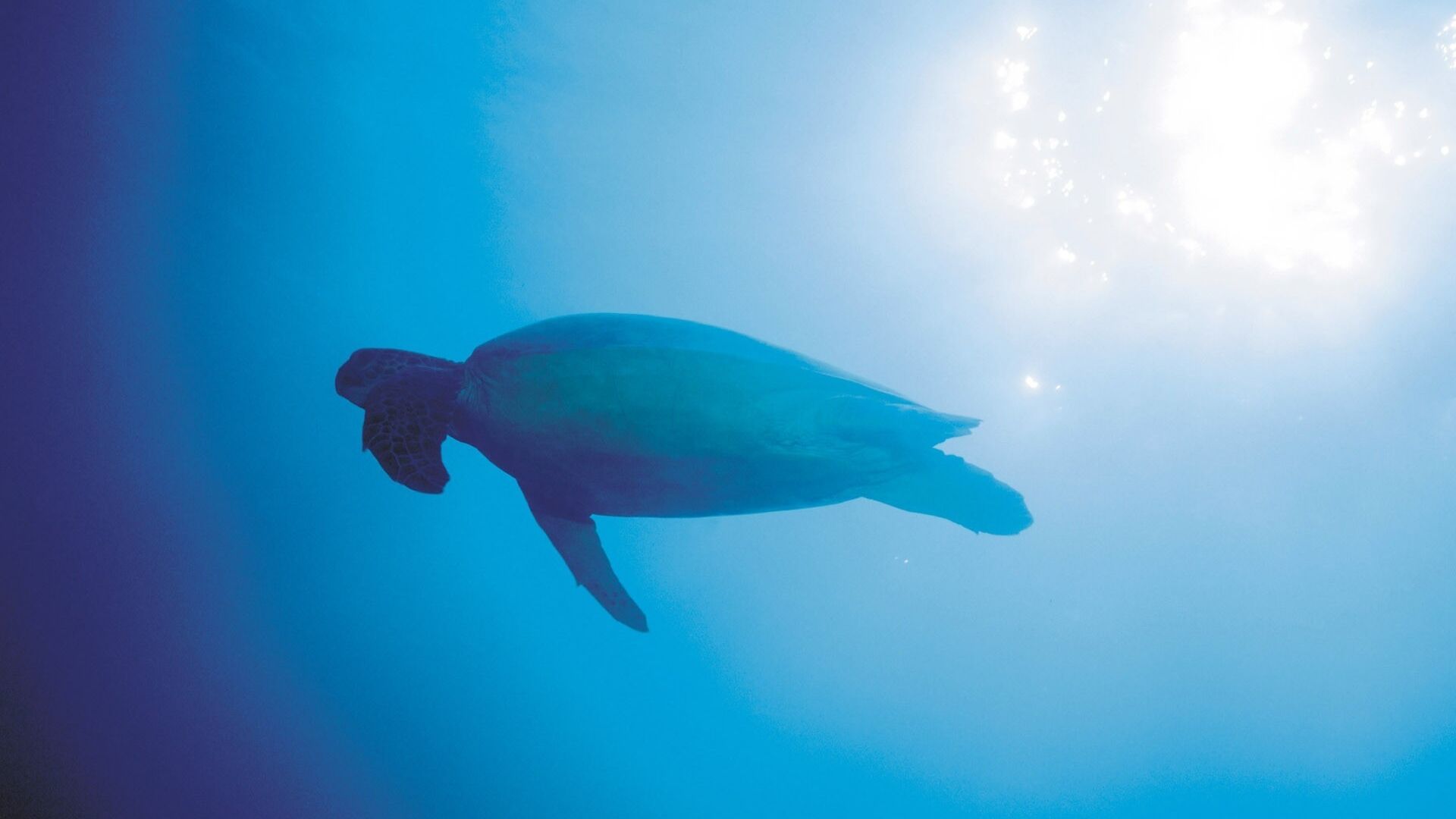 photography-1557996596288-6691